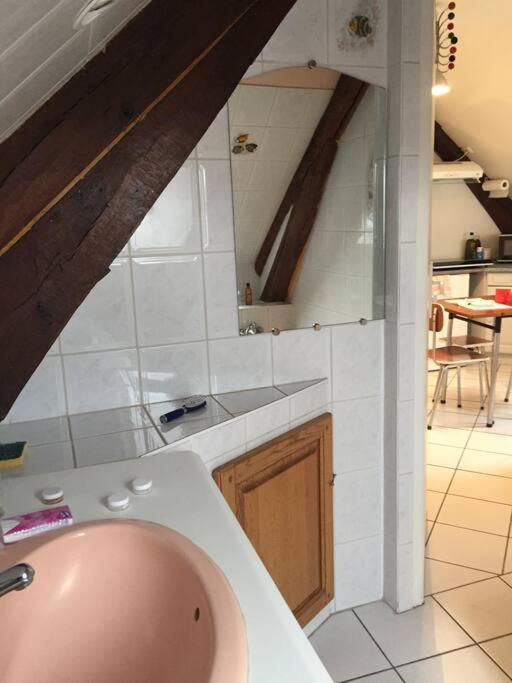 Logement Cosy Et Lumineux Auxerre Exterior foto